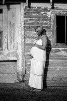 Destinee Maternity 2 064-2