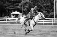 Teagan hs25 039-2